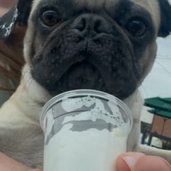 Starbucks - This was him