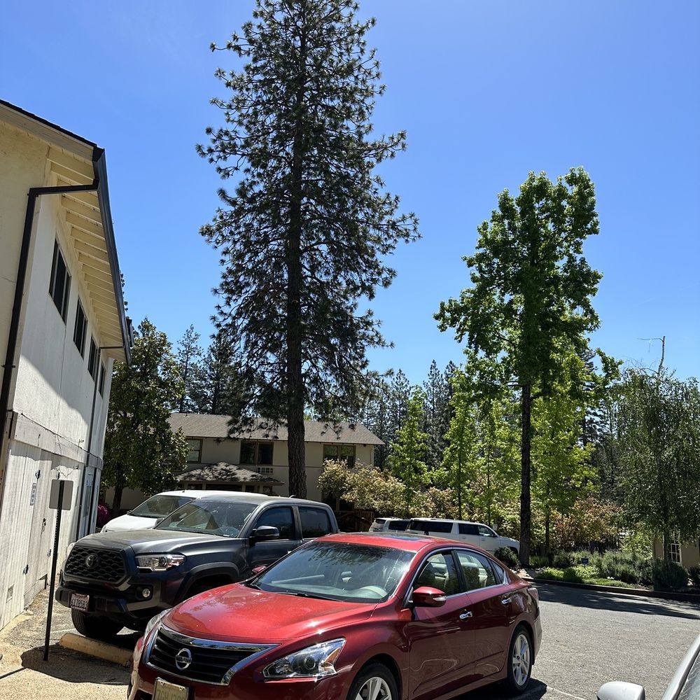 Weimar Institute - Colleges & Universities Near Me - Weimar, California Weimar Institute - Colleges & Universities Near Me - Weimar, California