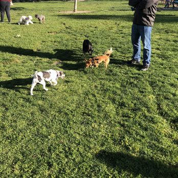 La Palma Dog Park - Dog Parks Near Me - Anaheim, California La Palma Dog Park - Dog Parks Near Me - Anaheim, California