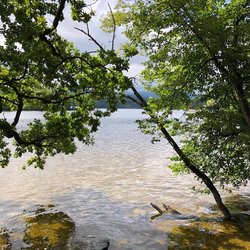 Staffelsee