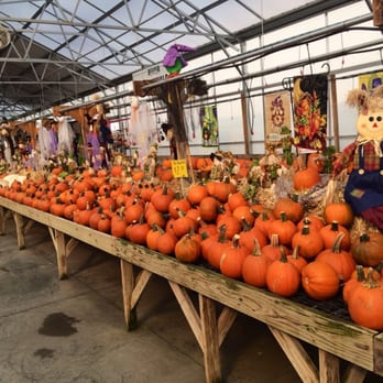 Bedner's Farm & Greenhouse - Inside the store. - Farms Near Me - McDonald, Pennsylvania