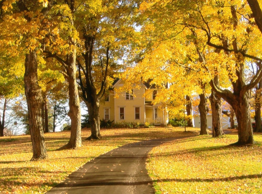 Maple Lane Day Care - childcare center in Plymouth, MI