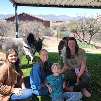 The Cuddle Corral - Animal Physical Therapy Near Me The Cuddle Corral - Animal Physical Therapy Near Me