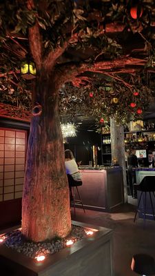 Wild Orange at HB Social Club by null