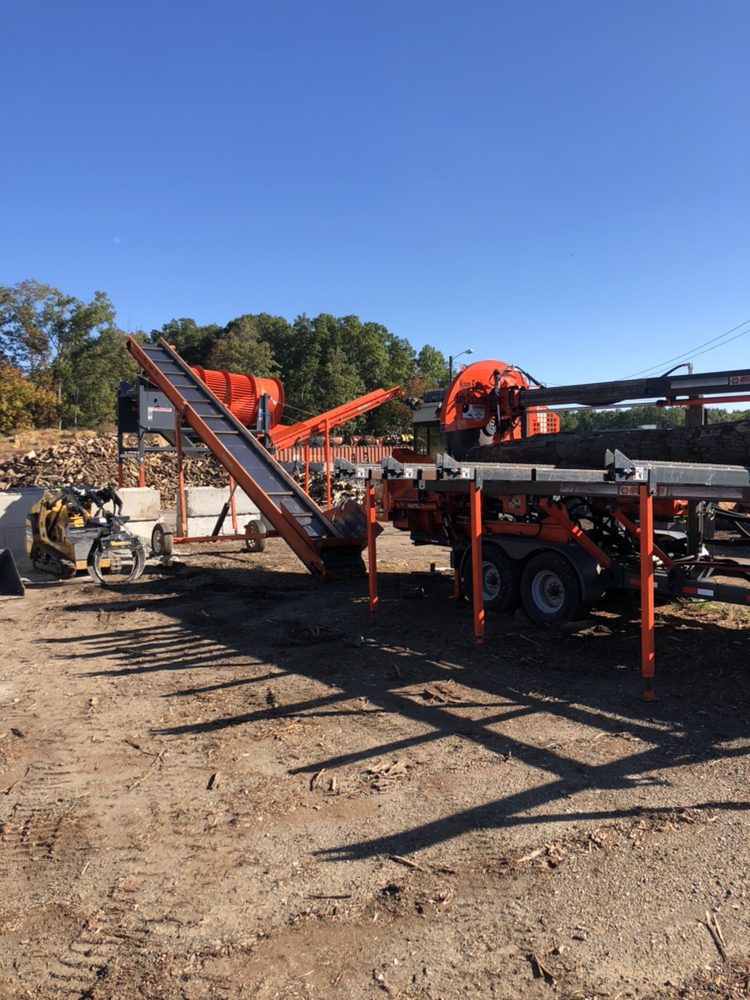 Absolute Tree - tree service in Glen Allen, VA