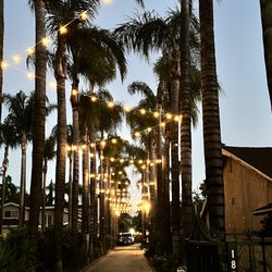 40 Palms - Path to venue