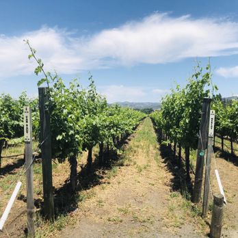 Cakebread Cellars - Wineries Near Me - Rutherford, California