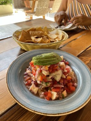 Hotel Mereva Tulum by null