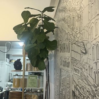 DragonEats - Planted inside - Vietnamese Near Me - San Francisco, California DragonEats - Planted inside - Vietnamese Near Me - San Francisco, California