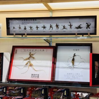 Wing Hop Fung - Herbs & Spices Near Me - Arcadia, California Wing Hop Fung - Herbs & Spices Near Me - Arcadia, California