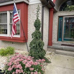 J&J Landscaping - A new tree they procured for us and planted perfectly.