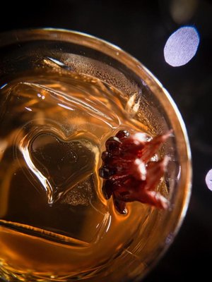 ZuZu Nashville by null