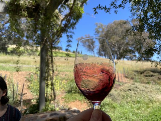 Mount Majura Vineyard by null