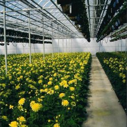 Augusta Hill Farms - Main Greenhouse Facility