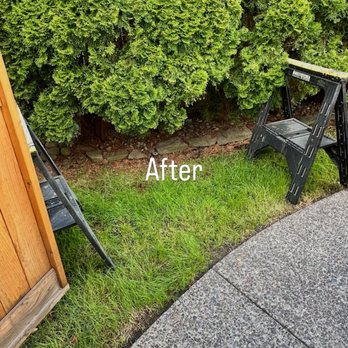 Junk Chasers - Junk Removal & Hauling Near Me Junk Chasers - Junk Removal & Hauling Near Me