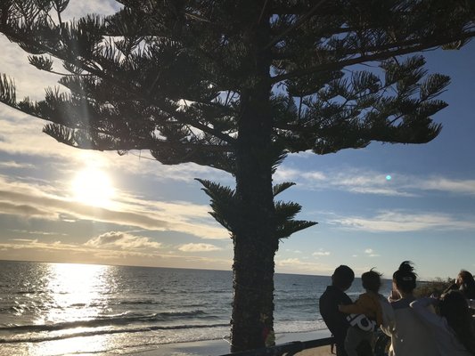 Christies Beach by null