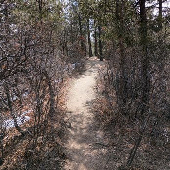 Monument rock - A narrow dirt path runs through a forest with tall trees and leafless bushes, with some patches of snow on the ground. - Hiking Near Me - Monument, Colorado