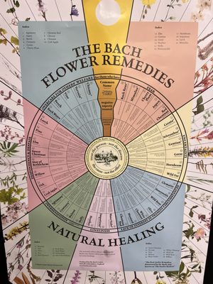 Windmill Farms Market by null