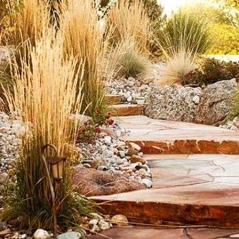 Southern Exposure Landscape & Sprinkler - a stone path surrounded by grasses - Landscaping Near Me - Windsor, Colorado Southern Exposure Landscape & Sprinkler - a stone path surrounded by grasses - Landscaping Near Me - Windsor, Colorado