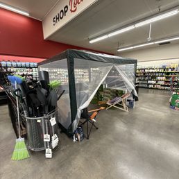 Took this awesome canopy for 60. Took this awesome canopy for 60.