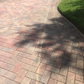 The Davey Tree Expert Company - Scrapes on pavers - Tree Services Near Me - Maitland, Florida