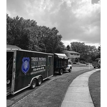 Tree Patrol Tree Service - Tree Patrol Tree Service - Tree Services Near Me Tree Patrol Tree Service - Tree Patrol Tree Service - Tree Services Near Me