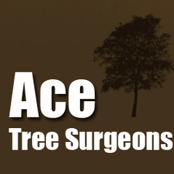 Ace Tree Surgeons - Ace Tree Surgeons logo