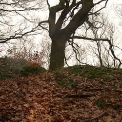 Der Kellerkopf - der äußere Wall