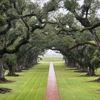 Gray Line New Orleans - Tours Near Me - New Orleans, Louisiana Gray Line New Orleans - Tours Near Me - New Orleans, Louisiana