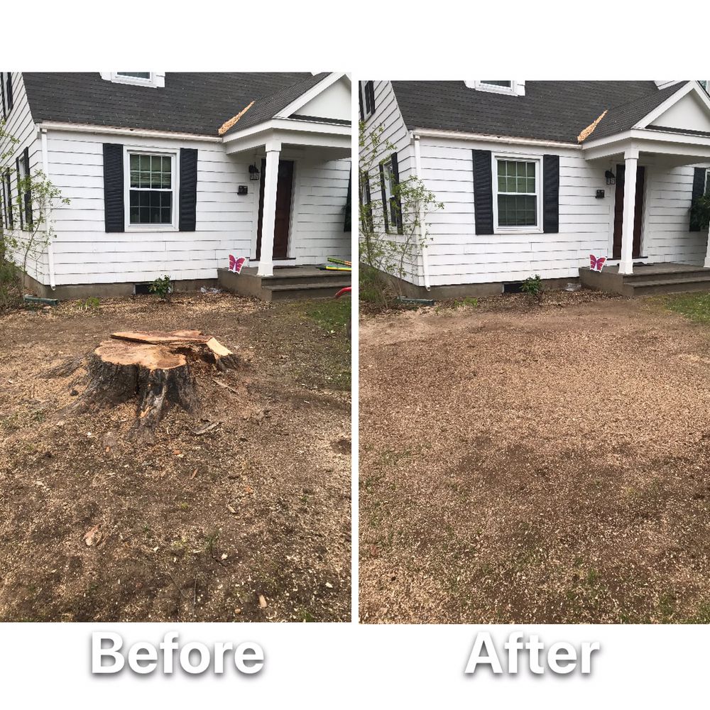 STUMP "OFF" Stump Grinding - tree service in Windsor, CT