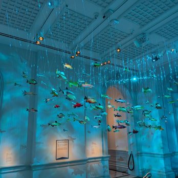 Renwick Gallery - Colorful fish sculptures are suspended from the ceiling in a gallery, illuminated by blue lighting. - Art Galleries Near Me - Washington, DC, District of Columbia