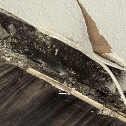 Texas Renters