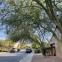 Photo of Top Leaf Tree Service
