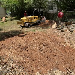 Roma's Stump Grinder - The pros at work!