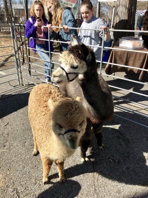 Douglass Loop Farmers Market by null