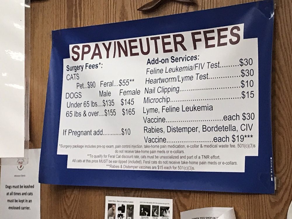 People For Animals - social services organization in Hillside, NJ