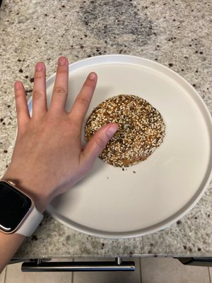 Bagel Uprising by null