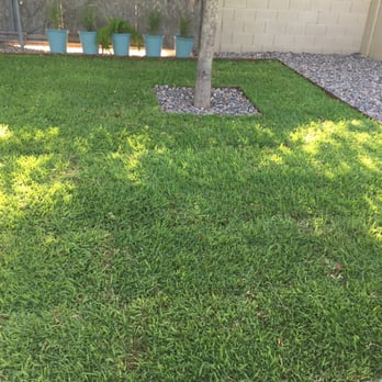 Nevarez Landscape - After - Landscaping Near Me Nevarez Landscape - After - Landscaping Near Me