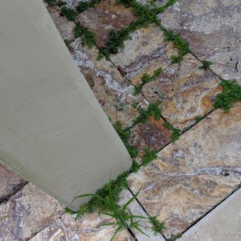 Pro-Green Landscaping - Pro-Green and Brandon did a BAD JOB of landscaping - weed growing everywhere - Landscaping Near Me Pro-Green Landscaping - Pro-Green and Brandon did a BAD JOB of landscaping - weed growing everywhere - Landscaping Near Me