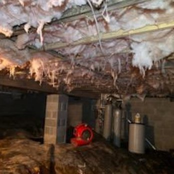Crawlspace Management Pro - Foundation Repair Near Me