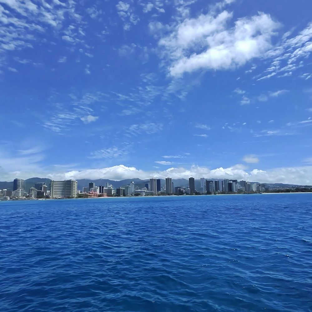 Living Ocean Tours - Snorkeling Near Me - Honolulu, Hawaii Living Ocean Tours - Snorkeling Near Me - Honolulu, Hawaii