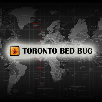 Toronto Bed Bug - Logo Banner - Pest Control Near Me - Toronto, Ontario Toronto Bed Bug - Logo Banner - Pest Control Near Me - Toronto, Ontario