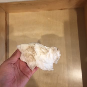 Book to Clean - This is me wiping down the inside of one of our drawers...which we paid additional fees to have cleaned. - Home Cleaning Near Me Book to Clean - This is me wiping down the inside of one of our drawers...which we paid additional fees to have cleaned. - Home Cleaning Near Me