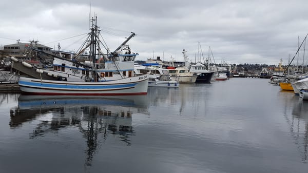 Fishermen's Terminal by null