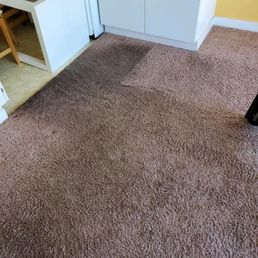 This is the partially treated carpet. The area by the yellow wall is not a common walking path, but the area in front of the cabinets is. This is the partially treated carpet. The area by the yellow wall is not a common walking path, but the area in front of the cabinets is.