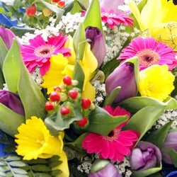 Blumen, die Leben