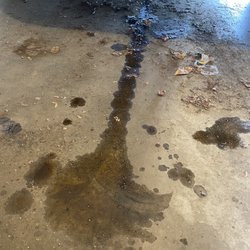 St Cloud Quick Lube - Oil that leaked from the oil filter that was not tightened properly
