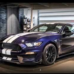 Stallion Auto Repair