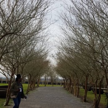 Whitney Plantation - Museums Near Me - Wallace, Louisiana Whitney Plantation - Museums Near Me - Wallace, Louisiana