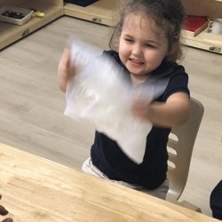 Cornus Montessori - Making Ice Cream is a fun science experiment, turning liquid into a solid!